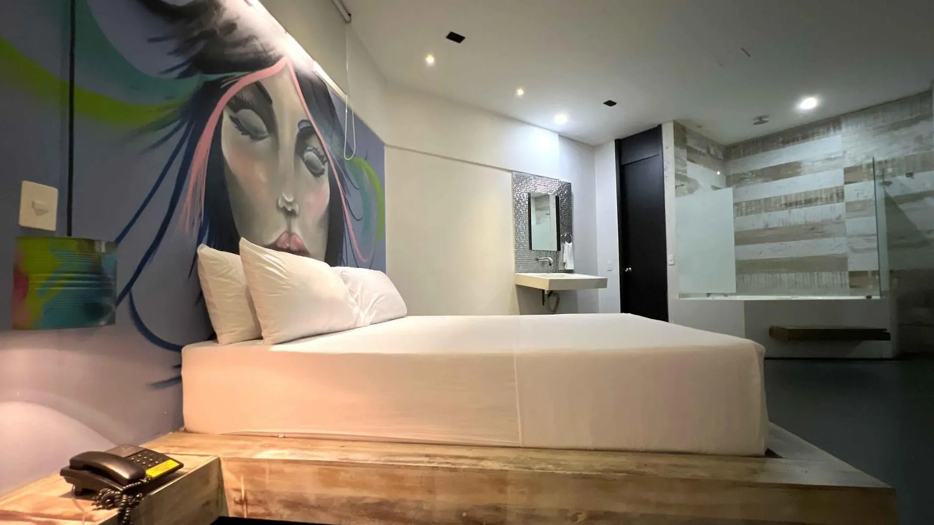 Hotel Medellin Arte 3*,